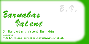 barnabas valent business card