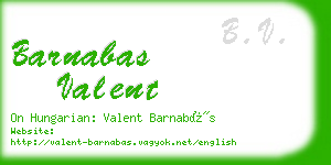 barnabas valent business card